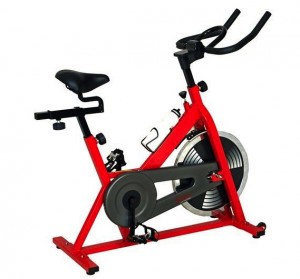 sf-b1001-exercise-bike